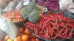Kenaikan Harga Cabai di Salatiga Biasa Terjadi saat Musim Penghujan <