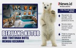 Infografis Hotel di China Jadikan Beruang Kutub Hidup Tontonan Para Tamu