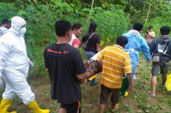 Pemburu Burung di Gunungkidul Ditemukan Tewas di Pematang Sawah<