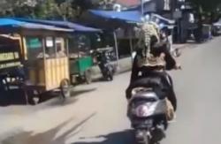 Video Viral Pengantin Kendarai Sepeda Motor di Pekalongan 