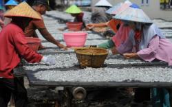 Nelayan Kembali Melaut, Stok Ikan Teri Asin di Pulau Pasaran Mulai Melimpah