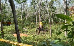 Petani di Prabumulih Tewas Tergantung di Pohon Karet<