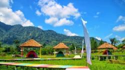 Wisata Tidur Sawah Dibuka di Langkat, Panoramanya Indah dan Dilengkapi Fasilitas