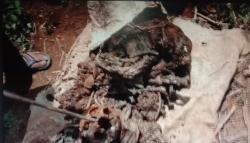 Dapat Petunjuk Gaib, Warga Sukabumi Temukan Tulang Manusia Korban Pembunuhan<