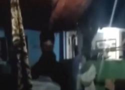 Video Rumah di Jaksel Dirusak akibat Kotoran Kucing