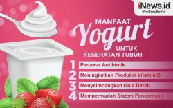 Infografis Manfaat Yogurt untuk Kesehatan