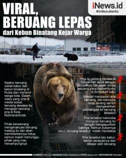 Infografis Beruang Lepas dari Kebun Binatang di Rusia, Kejar Warga
