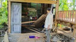 Kawanan Gajah Liar Mengamuk di Bener Meriah, 1 Rumah Rusak dan 6 Tiang Listrik Tumbang