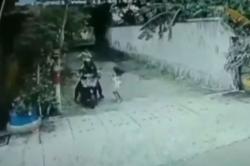 Video Viral Aksi Perampasan Ponsel Bocah Terekam CCTV