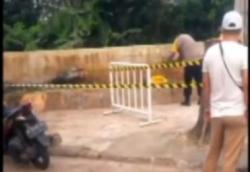 Video Penemuan Potongan Tubuh Gegerkan Warga Jurang Mangu Tangerang Selatan