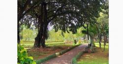 Ide Wisata Ruang Terbuka di Jakarta, Asyik Ada 25 Taman dan 3 Hutan Kota Baru Dibuka