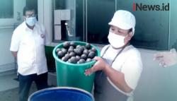 Video Geliat Sirup Markisa Khas Medan Bertahan di Masa Pandemi