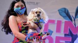 Penampilan Lucu Anjing Memakai Kostum