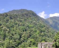 Begini Serunya Berwisata di Kawasan Gunung Puntang