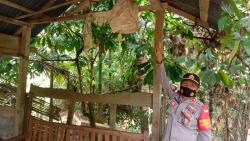 Calon Pendeta yang Tewas Tergantung sedang Praktik Kerja Lapangan di GBI Silaoinan