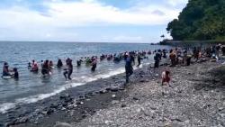 Informasi Tersebar, Makin Banyak Warga Dulang Emas di Pantai Pohon Batu