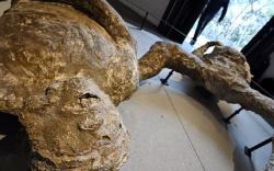 Mengerikan, Fakta Baru Tragedi Pompeii yang Tewaskan Ribuan Penduduk di Italia