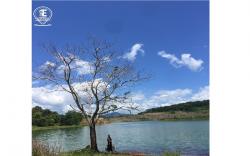Ada Pohon Kering di Danau Ata Sela Tanah Bumbu, Netizen: Kayak Ranu Kumbolo