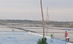 Khawatir Petani Rugi, HMPG Minta Pemerintah Kaji Ulang Kebijakan Impor Garam 