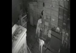 Hii, Pencuri Berkolor di Tanjungpinang Terekam CCTV Gasak Ikan dalam Gudang