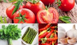 Loyo Diranjang, Ini 5 Makanan Bisa Bikin Pria Kembali Perkasa 