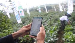 Didorong Gunakan Pupuk Organik, Ini Tanggapan Petani di Lembang KBB<