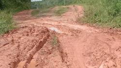 Waduh, Akses Utama dari Mesuji ke Jalan Tol Trans Sumatera Rusak Parah