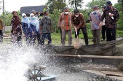 Tingkatkan Produksi Ikan, Sleman Kembangkan Mina Wisata Sibudi Dikucir