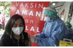 Begini Lho Perbedaan Vaksin Sinovac dan AstraZeneca