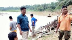 Sungai Batang Serangan Tercemar, Ribuan Ikan Mabuk dan Mati