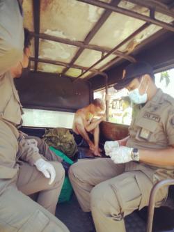 Diduga Depresi, Bule Denmark Mengamuk di Pantai Sanur Denpasar