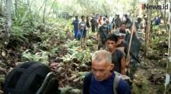 Video 7 Warga Halmahera Tengah Diserang OTK, 3 Orang Tewas Terkena Busur Panah