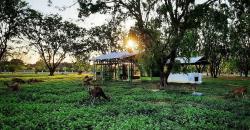 Ide Wisata ke Balongan Indramayu, Bisa Lihat Rusa hingga Menikmati Pantai Legendaris