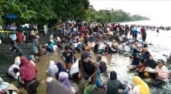 Sudah Dipasang Garis Polisi, Pantai Pohon Batu Malteng Tetap Dipadati Pendulang Emas 