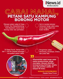 Infografis Cabai Mahal, Petani Satu Kampung Borong Motor