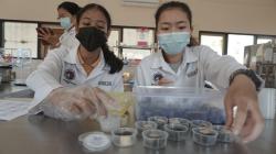  UKSW Salatiga Siapkan Beasiswa Ribuan Calon Mahasiswa Baru dan Aktif untuk D3 hingga S3