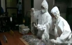 Video 156 Burung Asal Ende Dimusnahkan karena Positif Flu Burung 