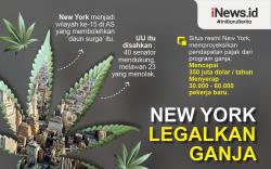 Infografis New York Legalkan Ganja