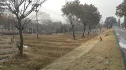 Polisi Periksa 5 Pegawai Pertamina Terkait Ledakan 4 Tangki di Kilang Balongan<