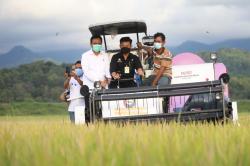 Upaya Jaga Harga Gabah, Ini Yang Dilakukan Kementan