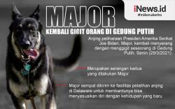 Infografis Anjing Joe Biden Gigit Orang Lagi