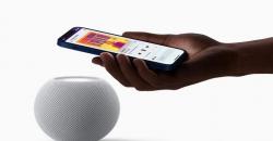  Paten Ungkap Kemampuan Baru Siri, Bisa Berteriak atau Berbisik