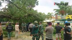 Video Hujan Deras, Pohon Tumbang Timpa Kendaraan Bermotor di Bandara Sultan Hasanuddin Makassar