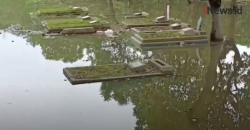 Video Hujan Lebat, TPU Semper Digenangi Air Berwarna Cokelat