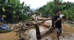 Video 27 Warga Diperkirakan Masih Hilang akibat Banjir Bandang Flores Timur