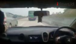 Video Polisi Kejar Bus Pengedar Sabu di Tol Trans Sumatera