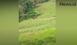 Video Truk Sayur Masuk Jurang Sedalam 100 Meter di Probolinggo