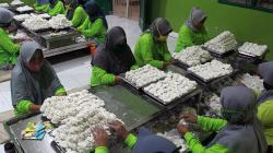 Industri Rumahan Pembuatan Cireng di Pamulang, Omzet Rp800 Juta per Bulan