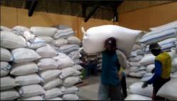 PT Pertani Targetkan Serap 300.000 Ton Gabah Petani 