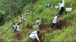 Ribuan Bibit Pohon Balsa Ditanam di Kawasan Air Terjun Songgolangit Jepara